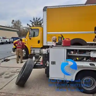 Chevy Chase, Maryland 20815 top Tesla tire professionals | Efficient  professionals