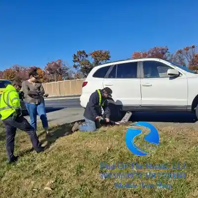 College Park, Maryland - Dependable trusted Tesla tire store near me